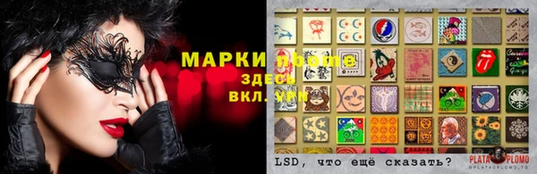 ГАЛЛЮЦИНОГЕННЫЕ ГРИБЫ Алексин