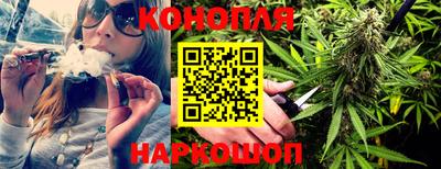 гашик Жуковский
