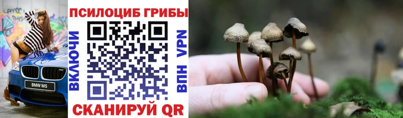 Псилоцибиновые грибы Psilocybe Мыски